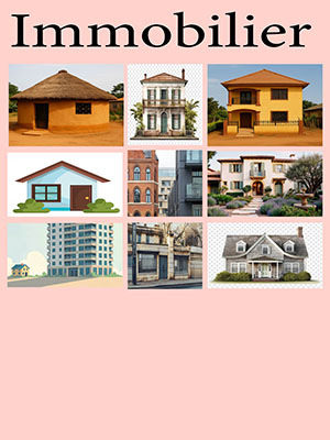 Immobilier